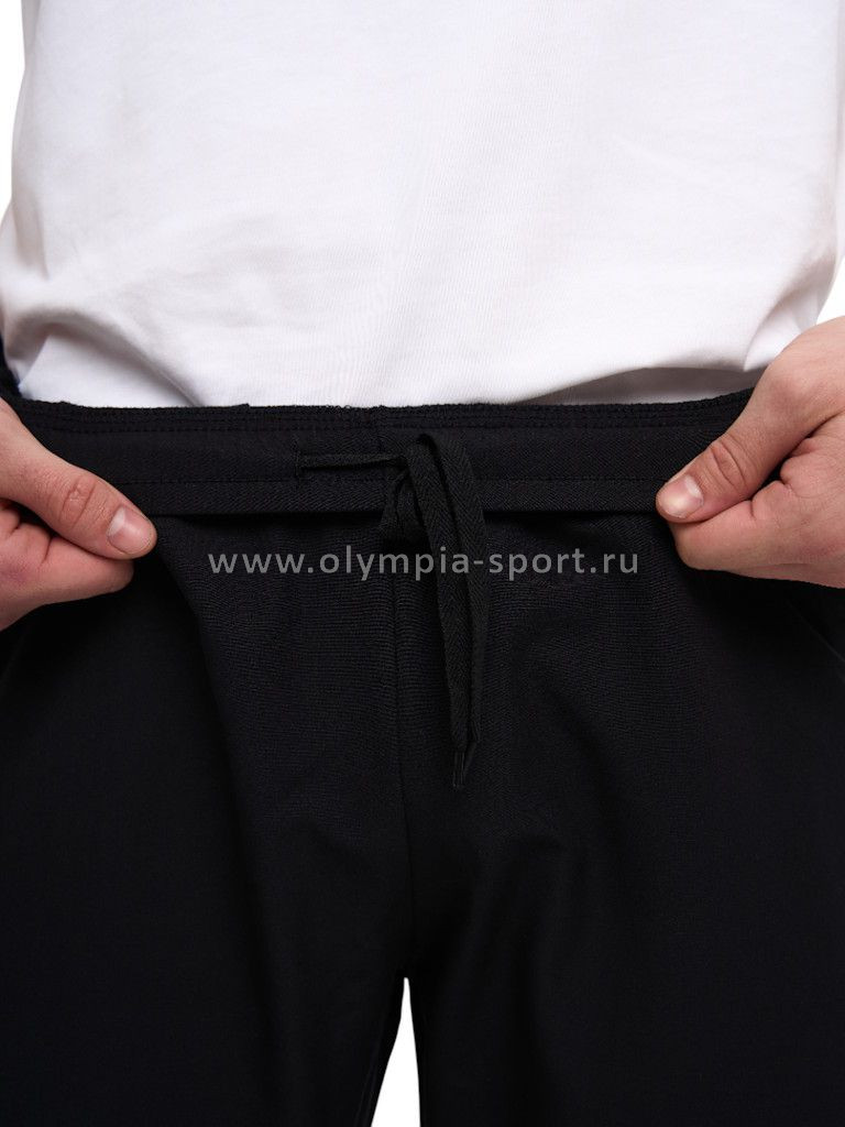 Брюки мужские Strobbs E2456-3 черный