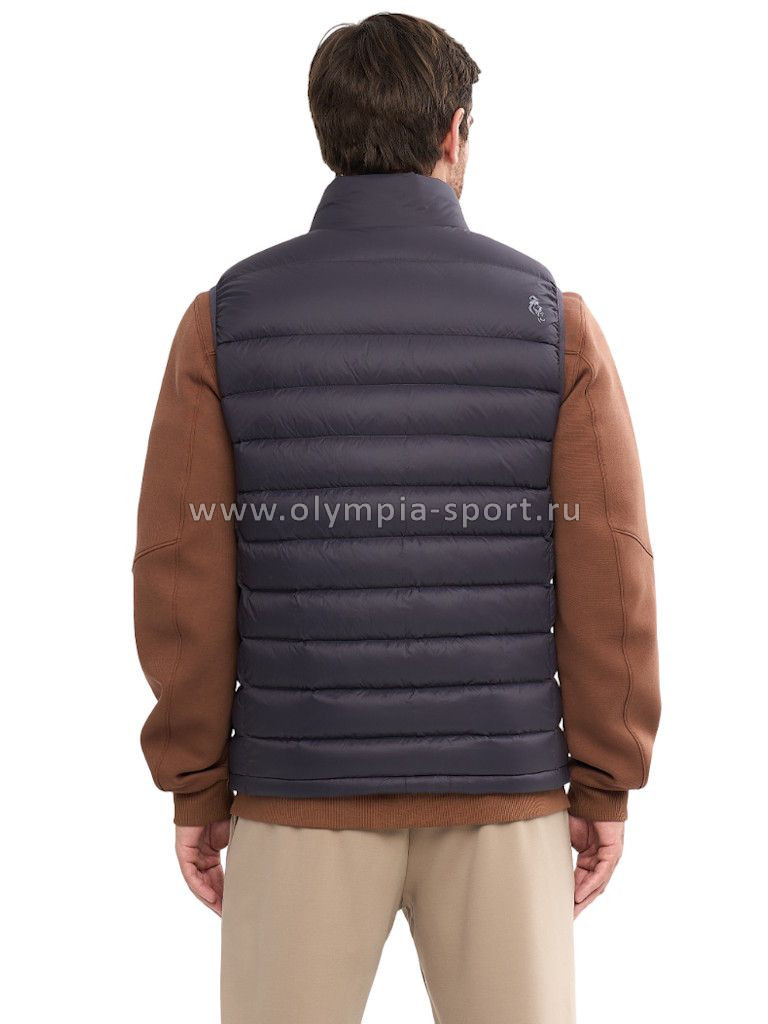 Жилет мужской Strobbs E2419-1 темно-серый