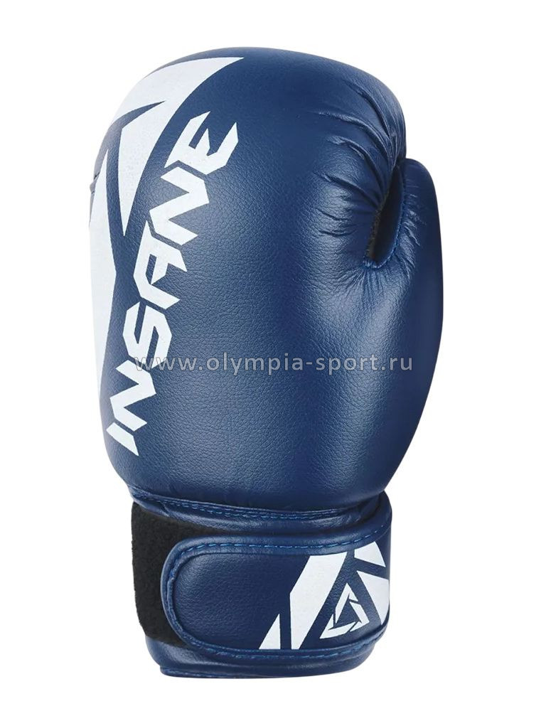 Перчатки боксерские INSANE MARS IN22-BG100, ПУ